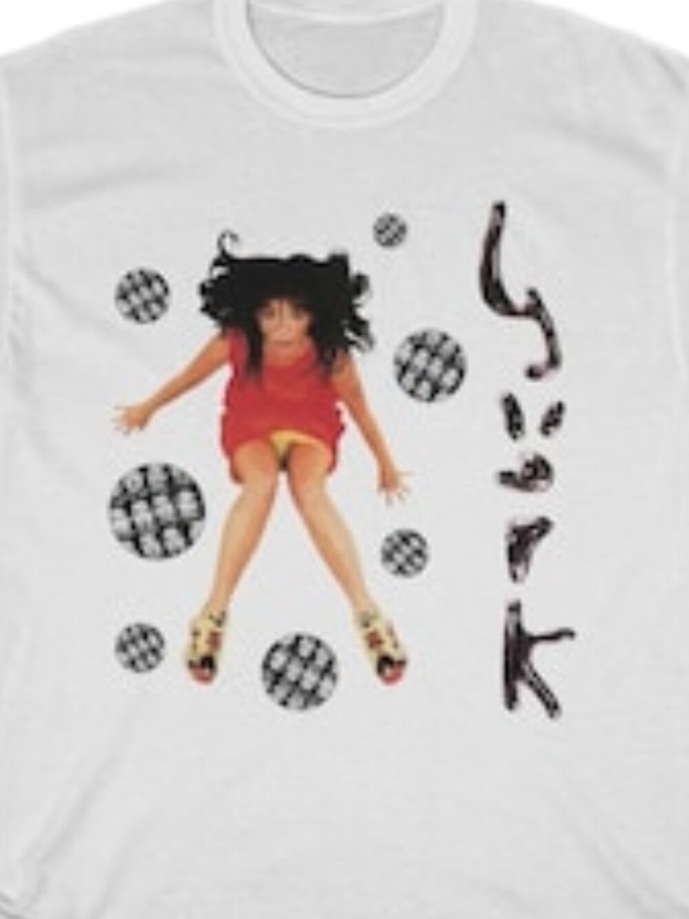 Bjork Logo T-Shirt  Vintage Style Alt Pop Music Tee  257